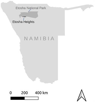 Keeping cool on hot days: activity responses of African antelope to heat extremes